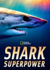 《超能鲨》影评：基因变异的海洋巨兽，科幻灾难的全新演绎