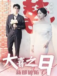 《大喜之日新郎破防了》：爆笑婚礼背后的心酸与感动