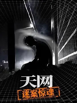 《天网：迷案惊魂》：这反转我给跪了！绝对是今年最强悬疑影评！